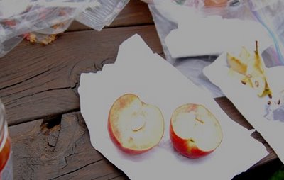 [apple-orchard-3.jpg]