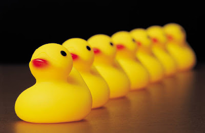 ducks+in+a+row.jpg