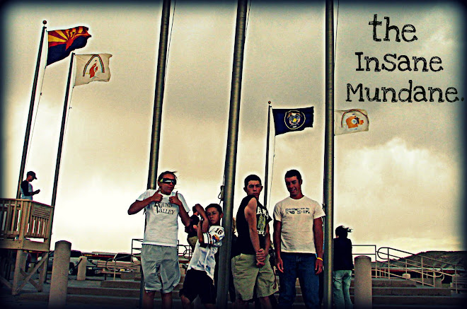 The Insane Mundane