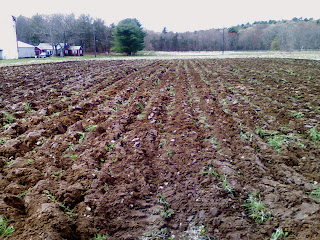 WEST VIRGINIA DNR - AN INTEGRATED APPROACH TO DEER DAMAGE WEST VIRGINIA DNR - AN INTEGRATED APPROACH TO DEER DAMAGE