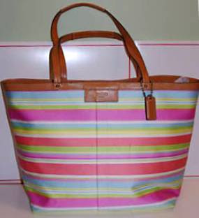 coach multicolor stripe purse