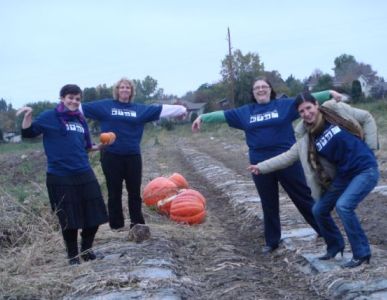 At a Pumpkin Patch