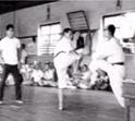 Ernest H. Lieb Taekwondo