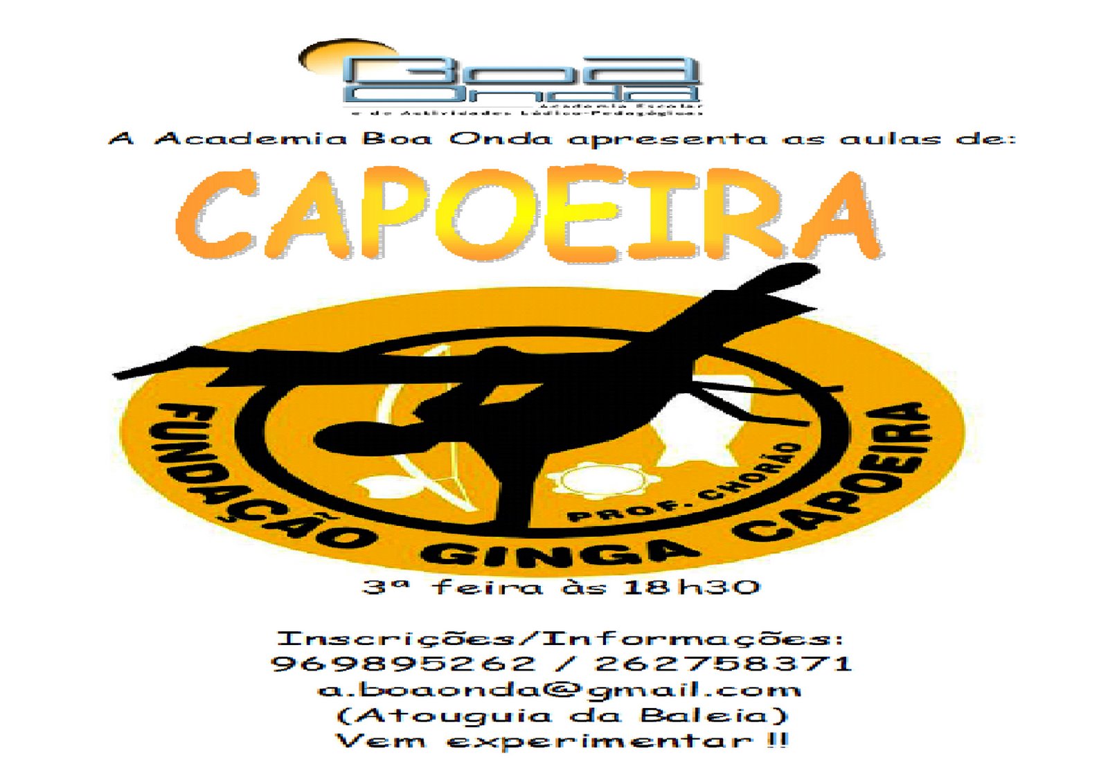 [capoeira.jpg]