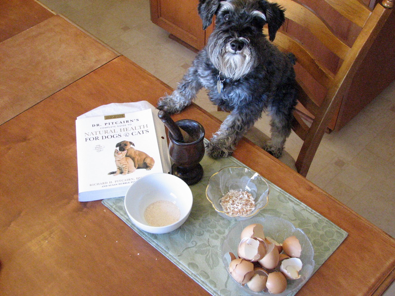 Dream Dogz How to make eggshell powder