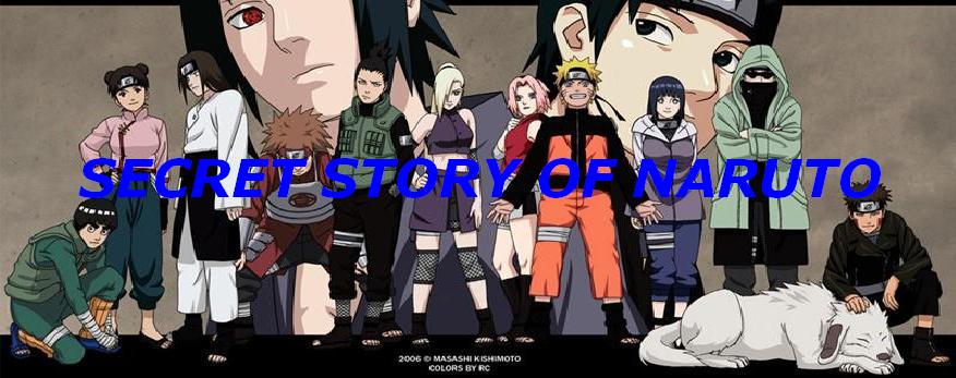 Secret Story of  Naruto