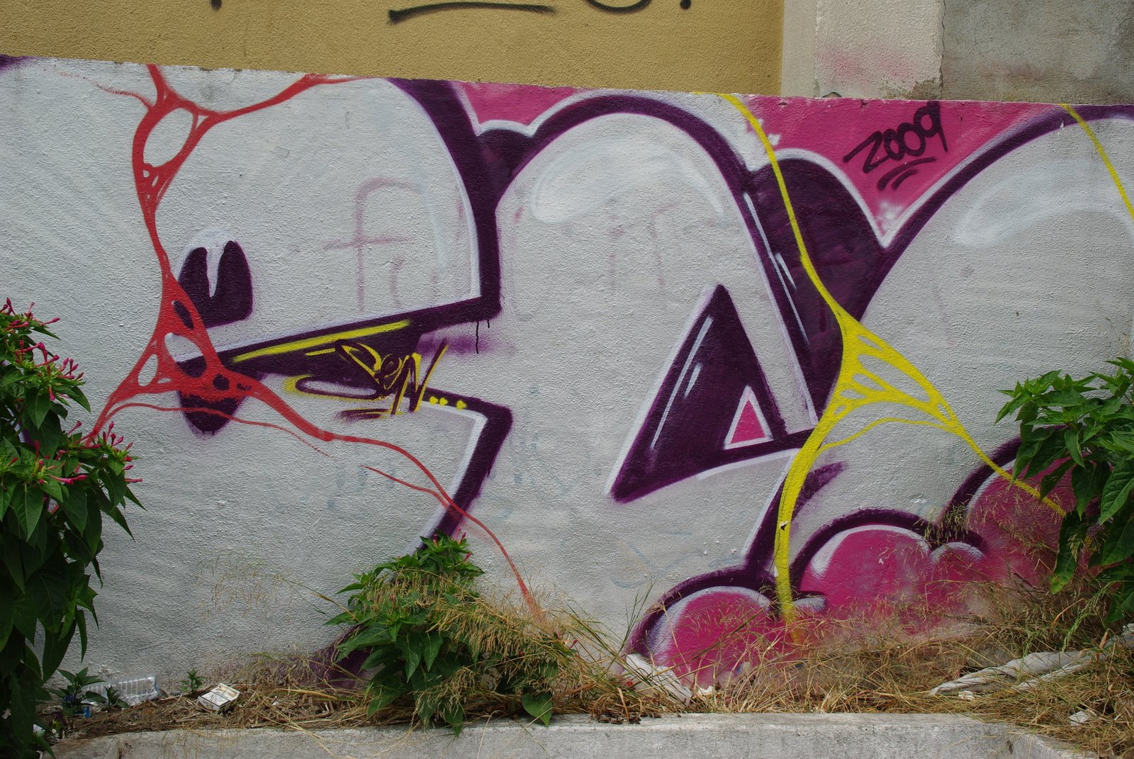[IMGP0886.JPG]