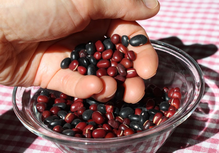 Fanatic Cook Black Beans And Adzuki Beans