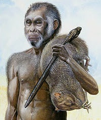 Homo floresiensis, Hobbit