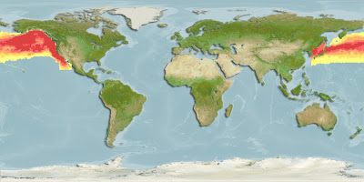 Macropinna microstoma - mapa de distribuição Macropinna microstoma - mapa de distribuição - map distribution