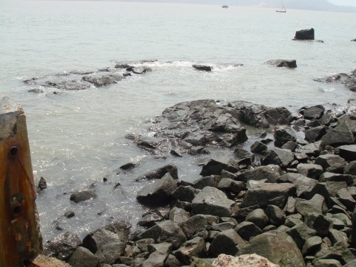 Random Rantings: Summer 2010, IPL...