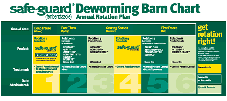 puppy deworming schedule dewormer schedule puppy deworming schedule dewormer schedule