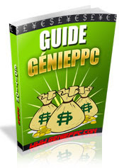 Guide GéniePPC