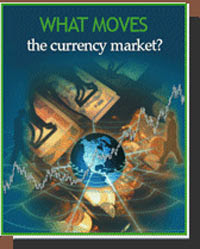 The Fx Report Forex
