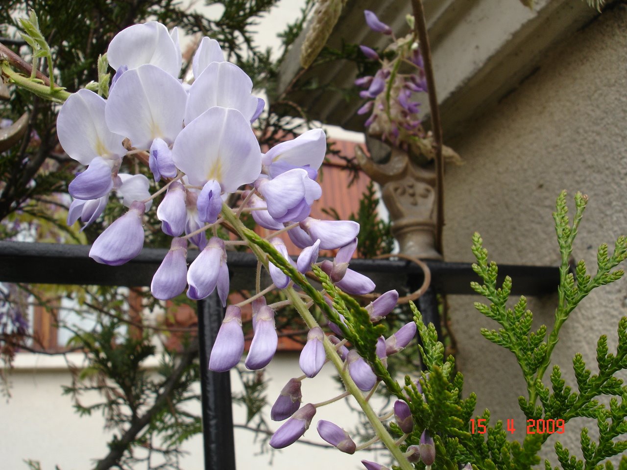 [DSC04702.JPG]