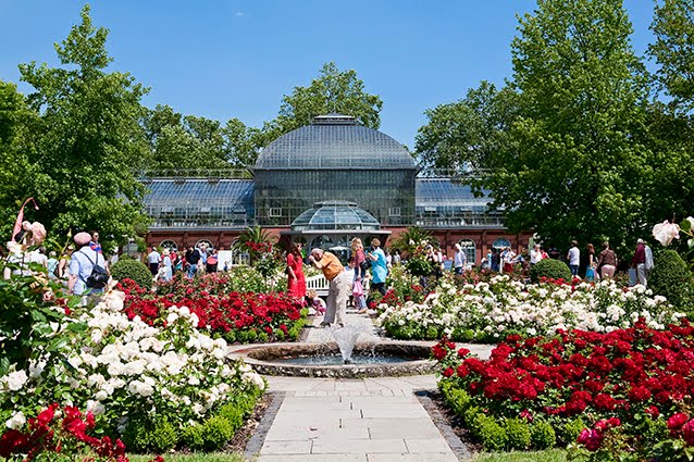 [palmengarten10.jpg]