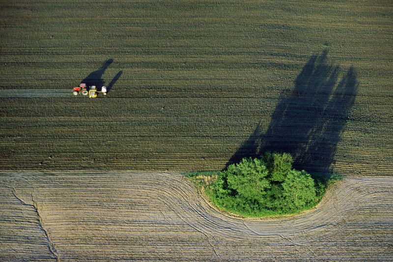 [patch_of_trees.jpg]