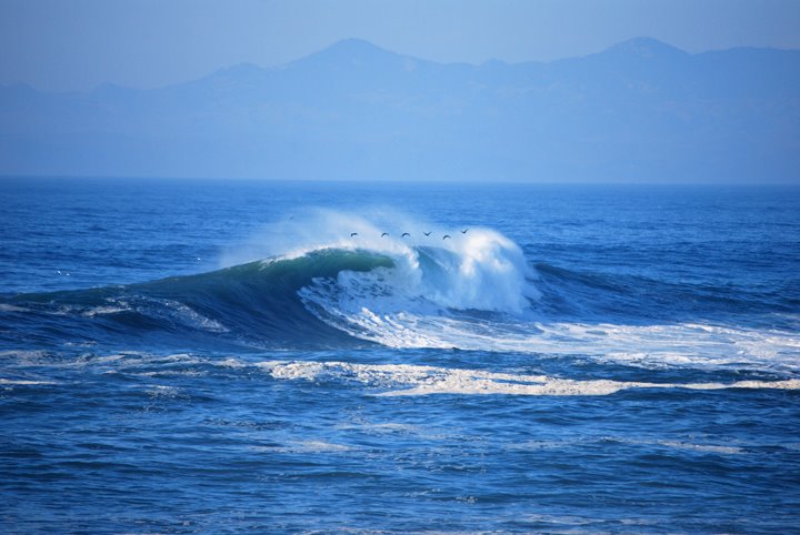 [wave_7894.jpg]
