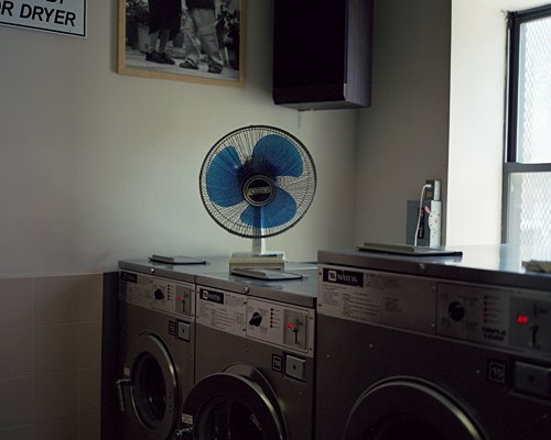 [shanelavalette_whoknows10.jpg]