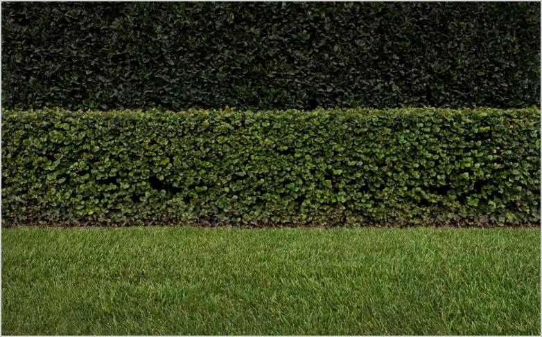 [bradmooresantaan.jpeg]