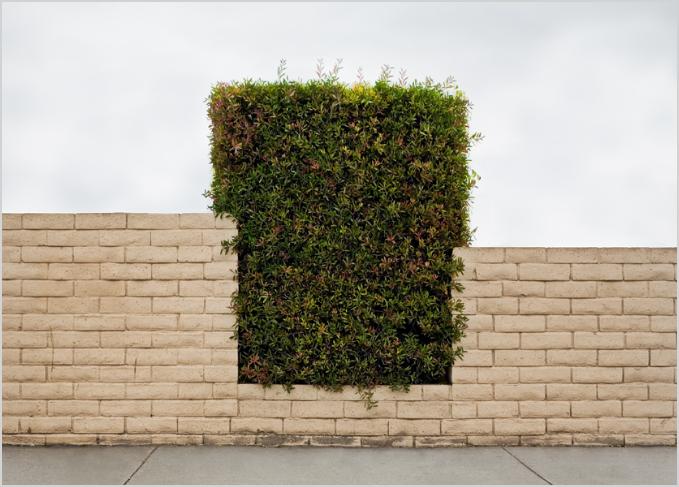 [bradmoorestantonc.jpeg]