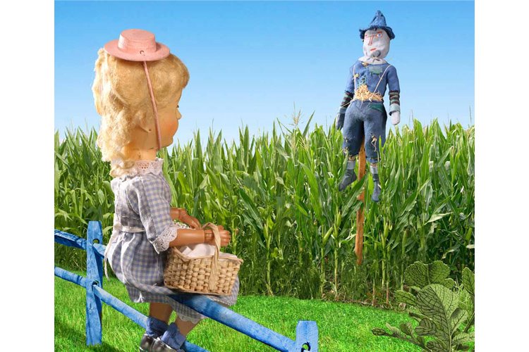 [OZ+04-scare-cornfield-750.jpg]
