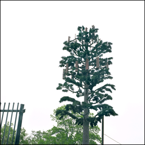 [TreeMutation1.gif]