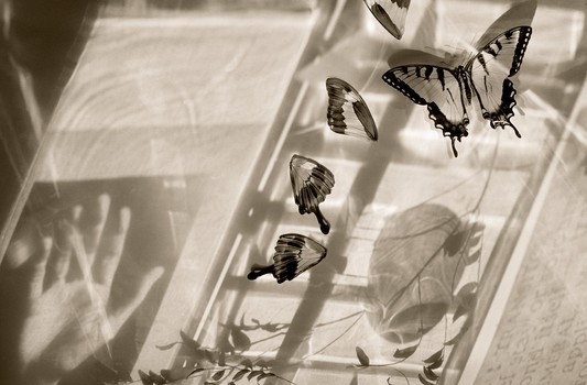 [33058_mediumlarger.jpg]