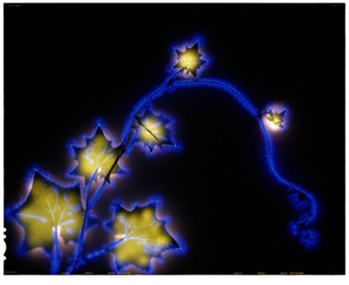 [thumbnails-2.php.jpeg]