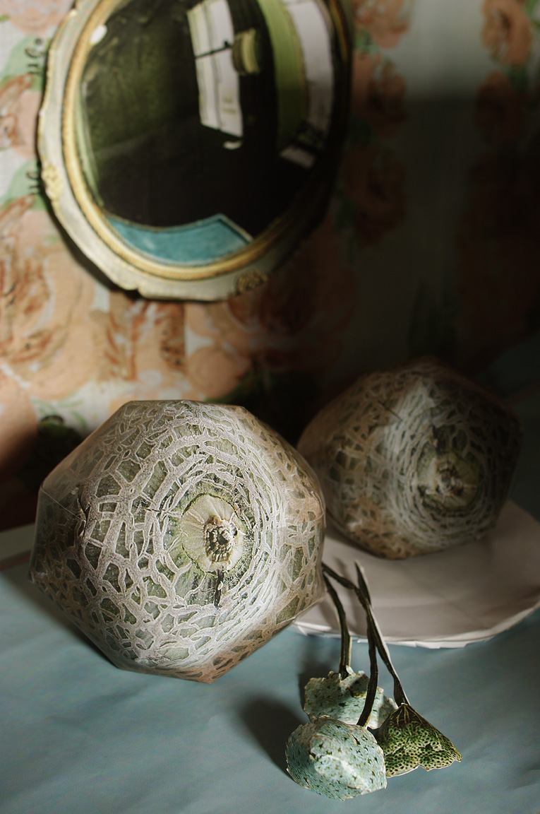 [3742567635_5b187dfebb_o.jpg]