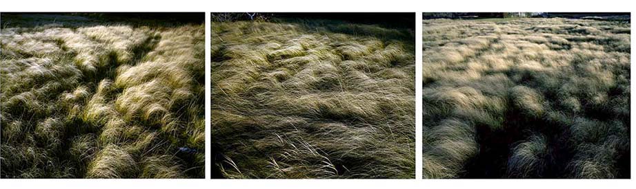 [Thanksgiving+05+webx.jpg]