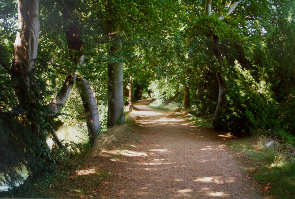[addisons_walk_s.jpg]