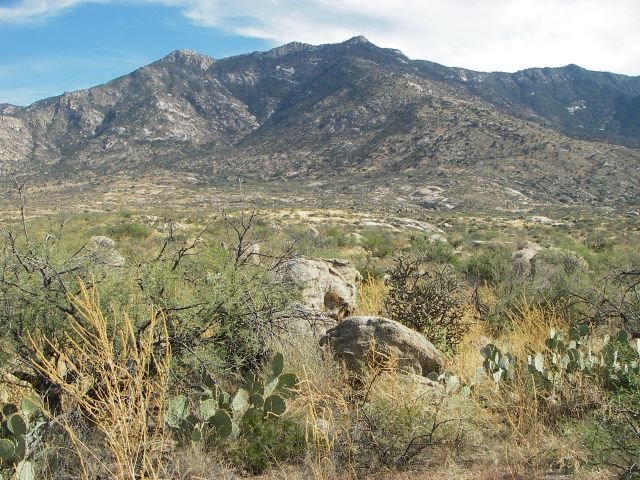 [catalinas1.jpg]