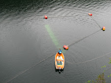 View of the net from the gilje above