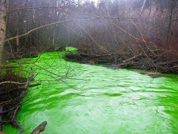 green%20victoria%20river.jpg