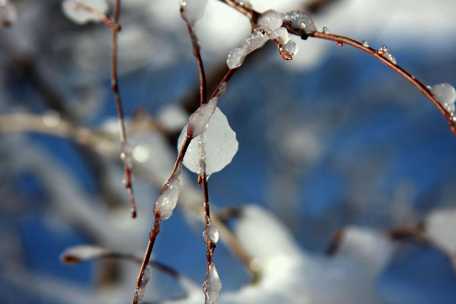 [IMG_9037.JPG]