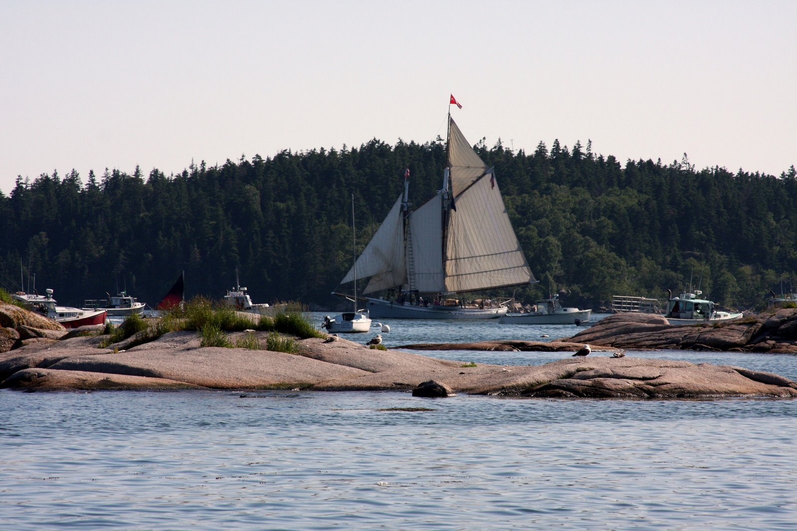 [5-schooner+in+Stonington+harbor.JPG]