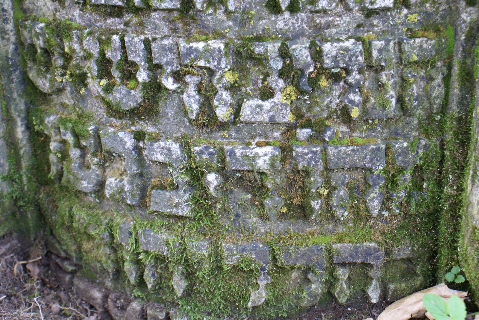 [DSC02545.JPG]