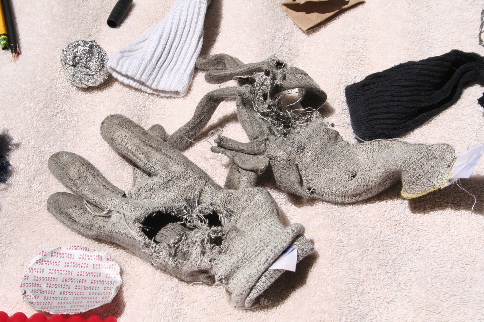 [Family+Reunion+Minky+Jo+Toads+035.jpg]