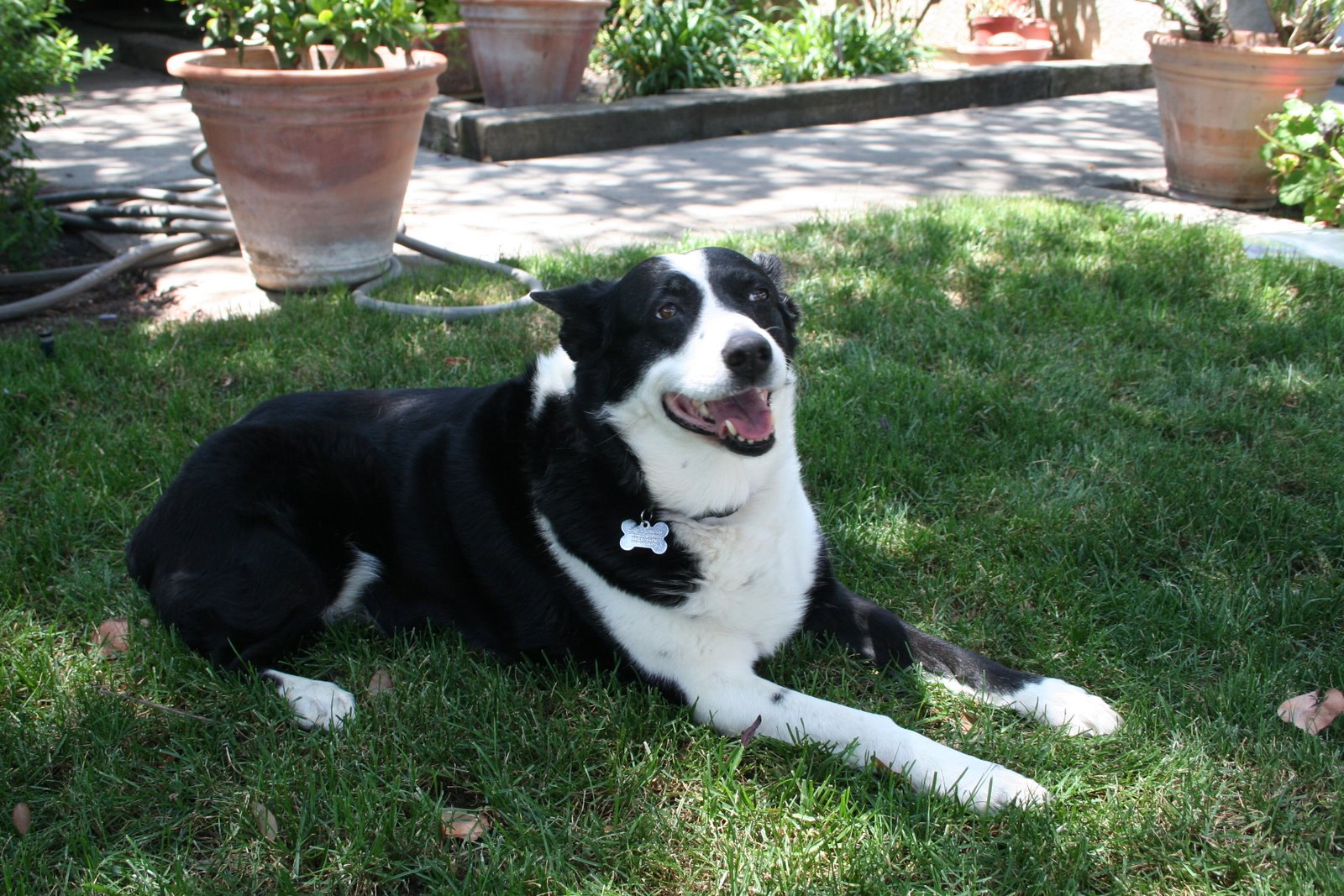 [Family+Reunion+Minky+Jo+Toads+031.jpg]