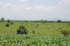 Loma de Mejia