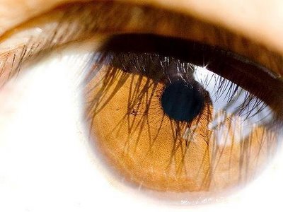 [olhos.JPG]