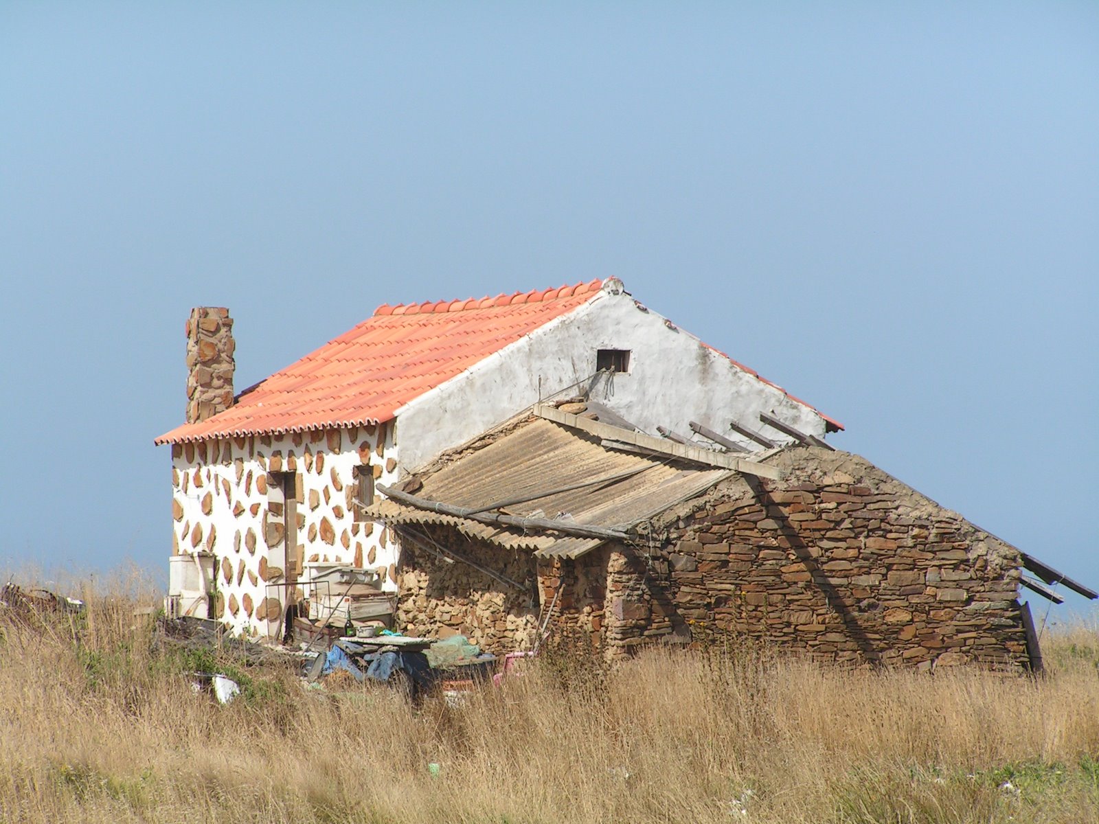 [PICT0015.JPG]