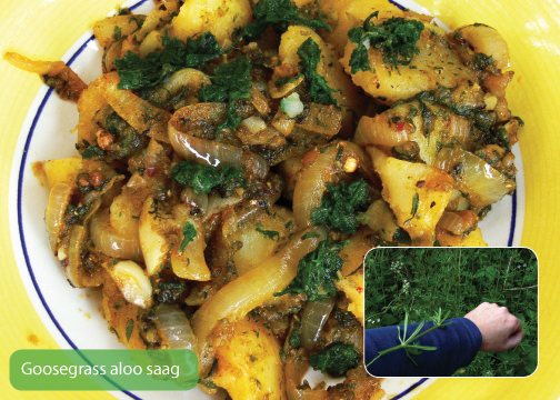 [goosegrass aloo saag ver2.jpg]