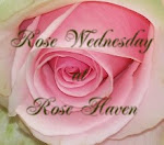 Rose Wednesday