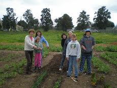 Gardening Service in Local Community