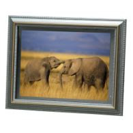 Digital Photo Frame