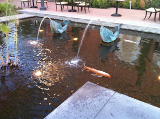 long-beach-koi-pond3.jpg