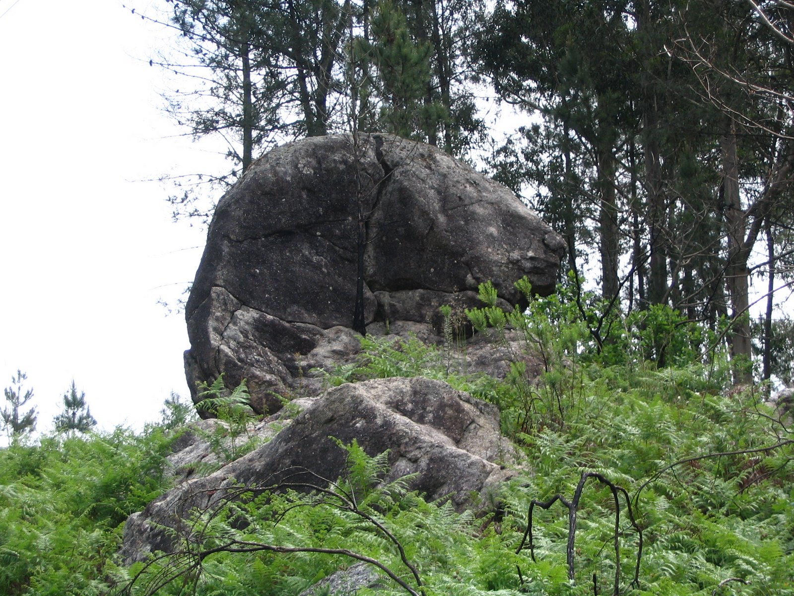 [IMG_5513.JPG]