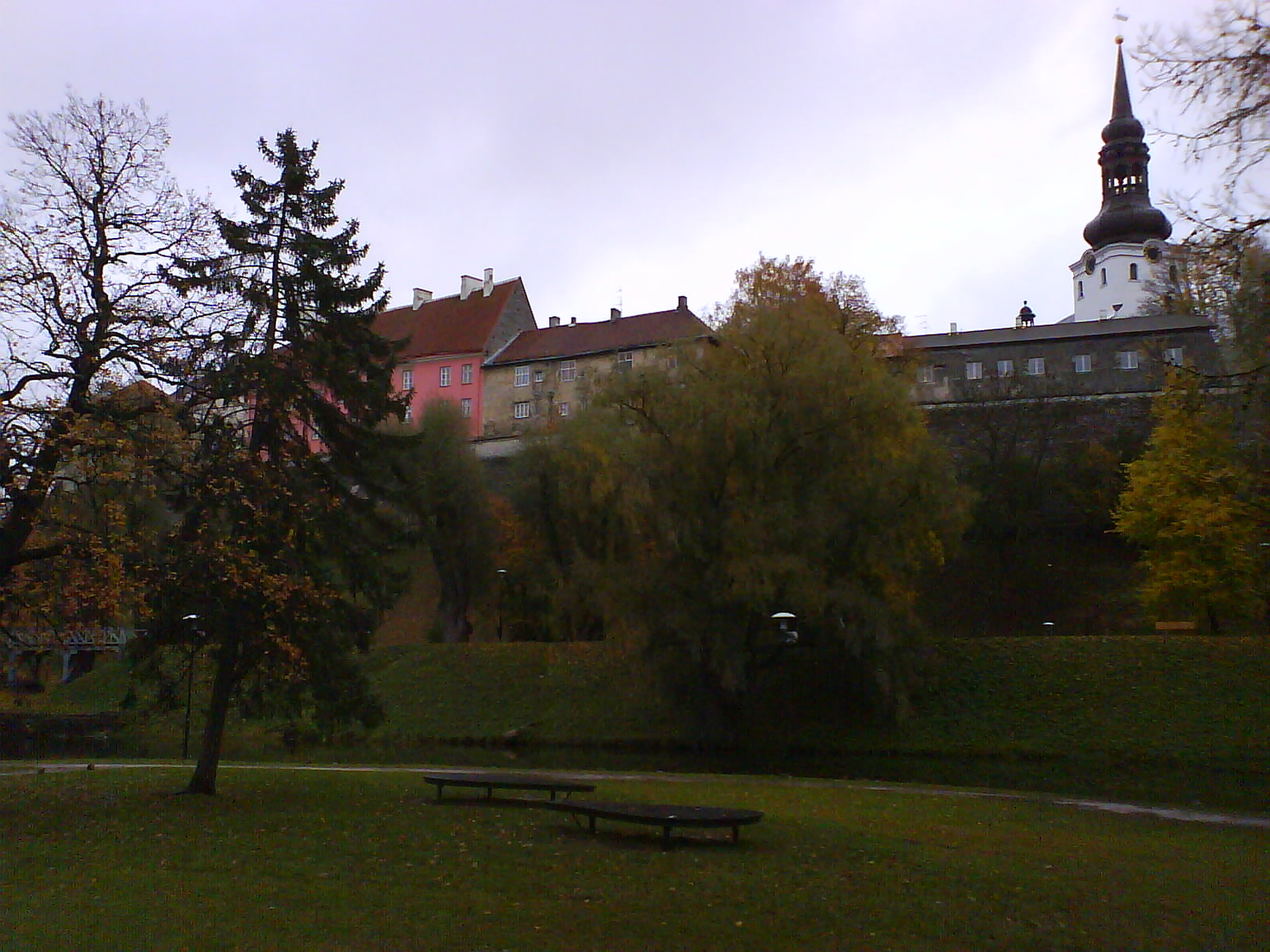 [DSC02385.JPG]